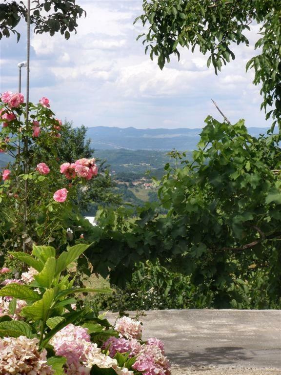 Apartman Vojskovic Gračišće Exterior foto